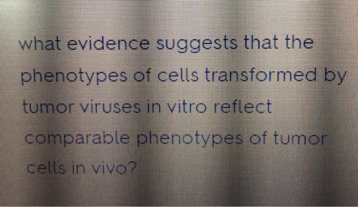 Question: What evidence suggests that the phenotypes of cells transformed by tumor viruses in vitro reflect...