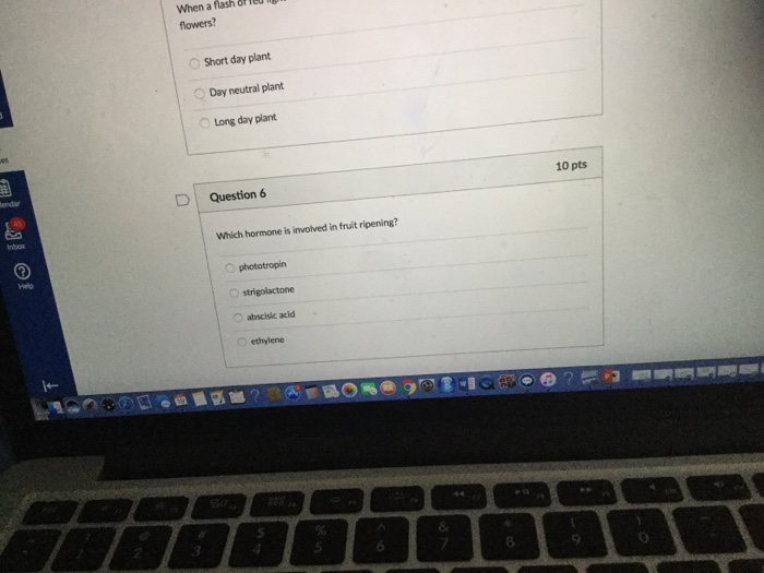 Question: Flash of When a flowers? Short day plant Day neutral plant Long day plant D Question 6 Which horm...