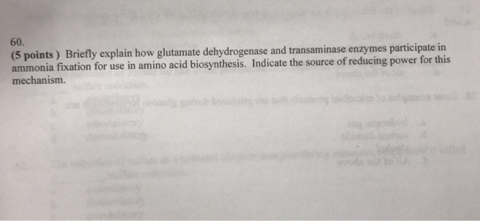Question: 60. (5 points) Briefly explain how glutamate dehydrogenase and transaminase enzymes participate i...