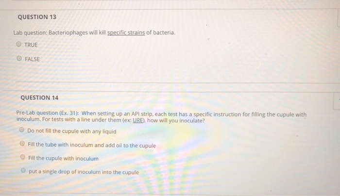 Question: QUESTION 13 Lab question: Bacteriophages will kill specific strains of bacteria. O TRUE FALSE QUE...
