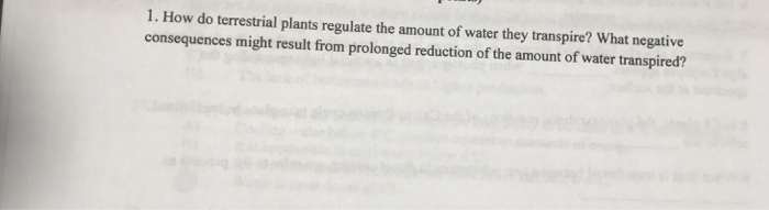 Question: How do terrestrial plants regulate the amount of water they transpire? What negative consequences...