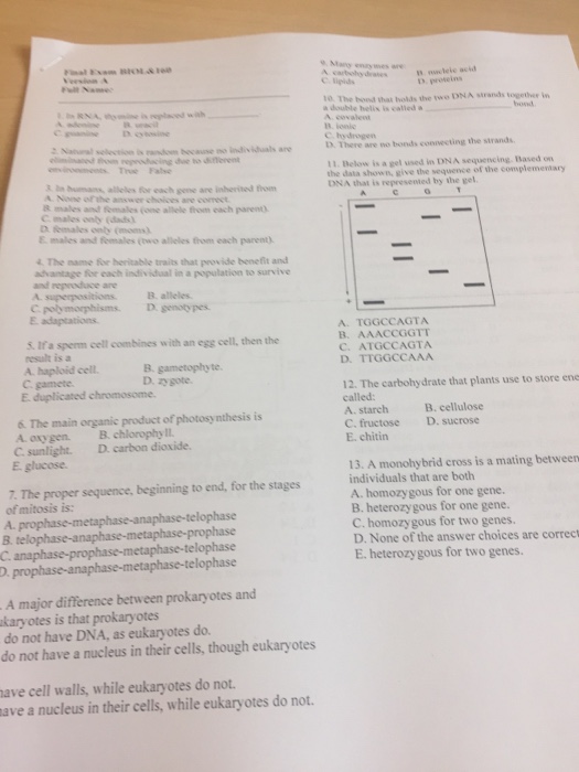 Are we sperm cells picture