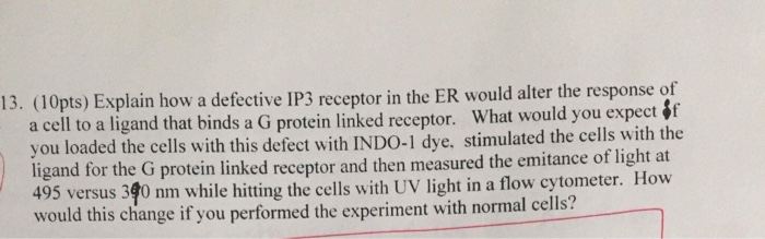 Question: 13. (10pts) Explain how a defective IP3 receptor in the ER would alter the response of a cell to ...