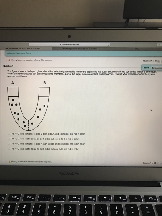 Question: Test: Problem Set Take Test: Problem Set III Test Information Multiple Attempts This test allows ...