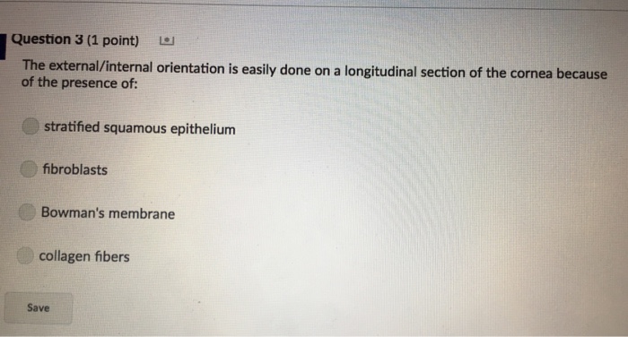 Question: Question 3 (1 point) The external/internal orientation is easily done on a longitudinal section o...