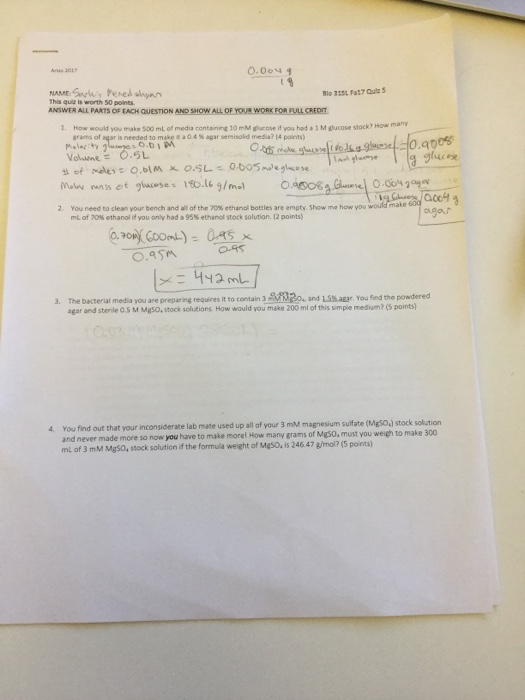 Essay typer unblocked image