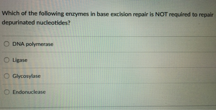 Question: Which of the following enzymes in base excision repair is NOT required to repair depurinated nucl...