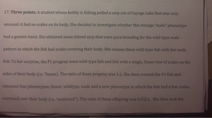 Weird hobbies for guys image