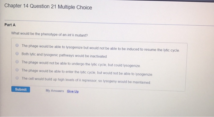 Question: What would be the phenotype to an into A  mutant?  The phage would be able to lysogenize but woul...