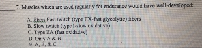Question: 7. Muscles which are used regularly for endurance would have well-developed: A, thers Fast twitch...