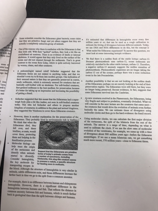 A career to make life worth living essay picture