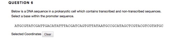 Question: Below is a DNA sequence in a prokaryotic cell which contains transcribed and non-transcribed sequ...