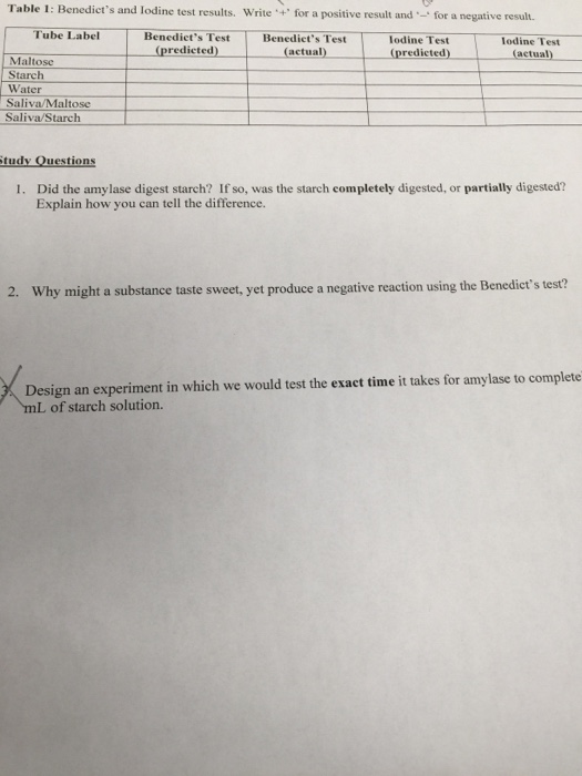 Digest Starch Experiment