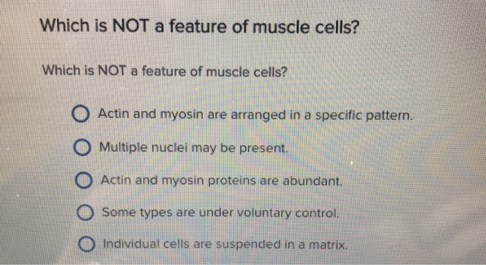 Question: Which is NOT a feature of muscle cells?  Which is NOT a feature of muscle cells?  Actin and myosi...