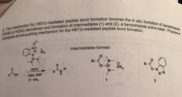 Solved: Peptide Synthesis Help The Mechanism For HBTU-medi... | Chegg.com