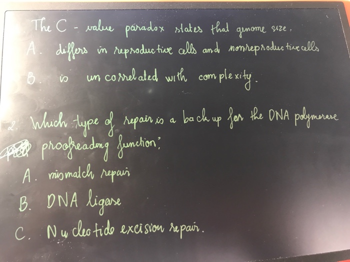 Question: Un coNelded with, complexing o aiv io a ba B. DNA ligore