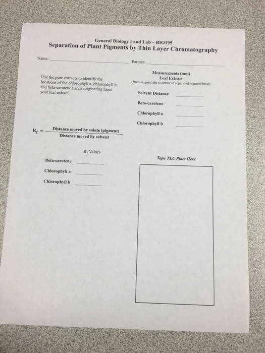 Question: Use the pure extracts to identify the locations of the chlorophyll a, chlorophyll b, and beta car...