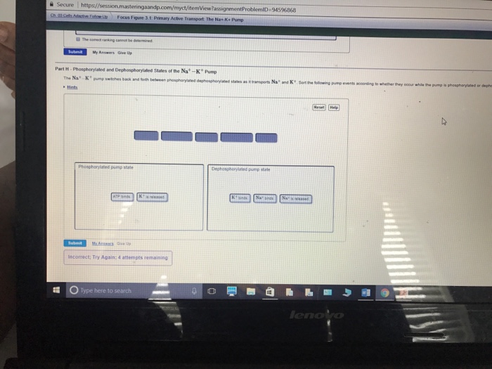 Question: E Secure re T htps//session masteringaandp.com/myct/temView7assignmentProblemiD-94596868 Adete Fo...