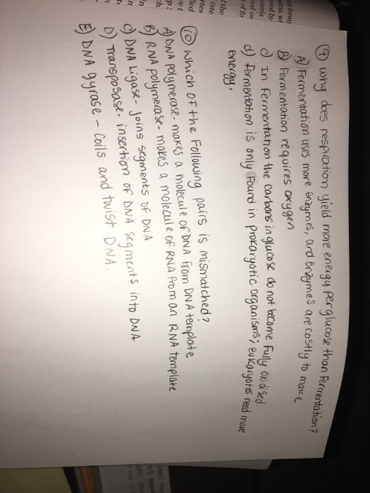 Synthesis essay example picture