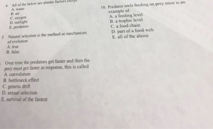 Question: 4. All of the below are abiotic factors excep A. water 10. Predator owls feeding on prey mice is ...