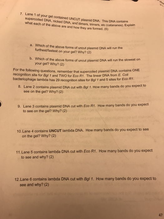 Question: Please help!! Thank you!