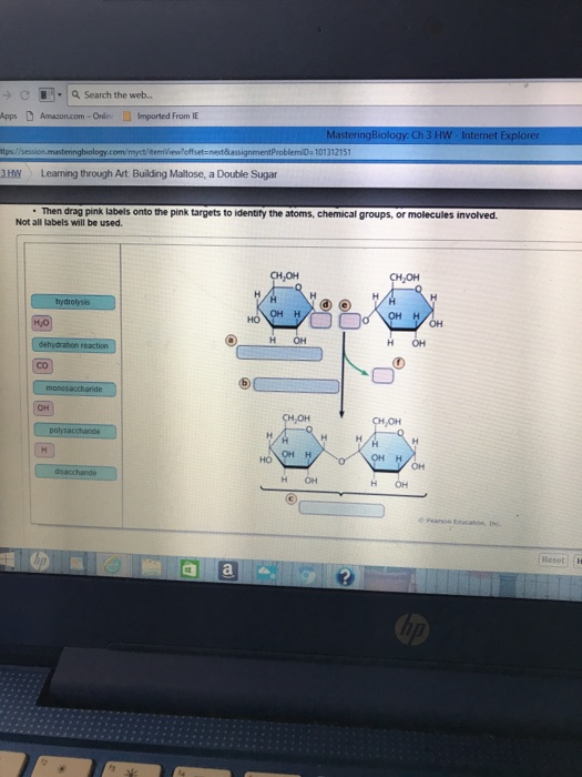 Solved: → C 17 1Q, Search The Web- Apps D Amazoncom-On N | Chegg.com