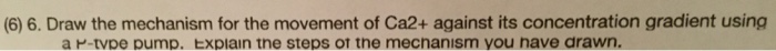 Question: Draw the mechanism for the movement of Ca2+ against its concentration gradient using a P-type pum...