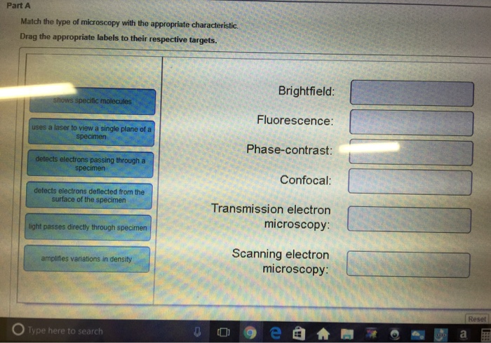 Question: Match the type of microscopy with the appropriate characteristic. Drag the appropriate labels to ...