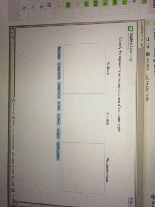 Question: 100 Print Calculator MPeriodic Table Question 10 of 14 Sapling Learning Classify the organisms as...