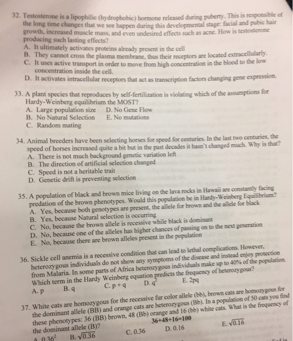 Hardy-weinberg practice problems usmle image