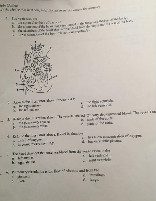 Question: Please answer allPlsanswer all