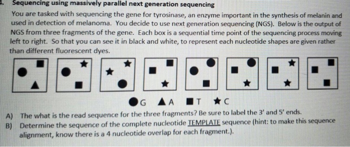 Question: . Sequencing using massively parallel next generation sequencing You are tasked with sequencing t...