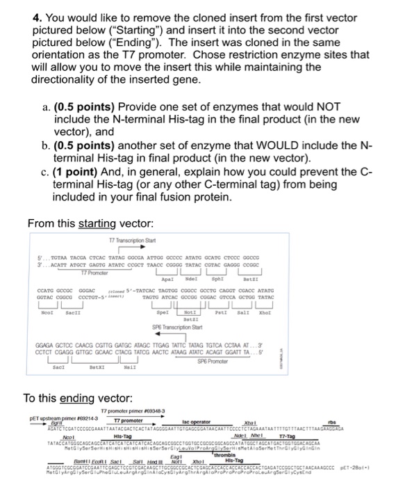 Fdfinalessay 1 06 image