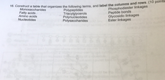 Question: Construct a table that organizes the following terms, and label columns and rows.  Monosaccharide...