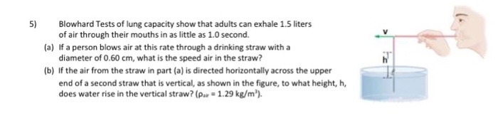 solved-blowhard-tests-of-lung-capacity-show-that-adults-c-chegg