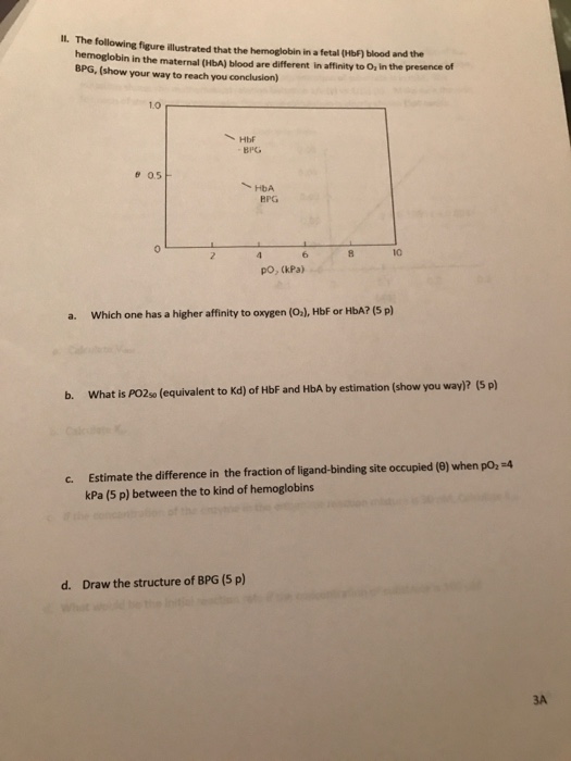 Question: 1. During muscle contraction, hydrolysis of ATP results in A) a change in the conformation of act...