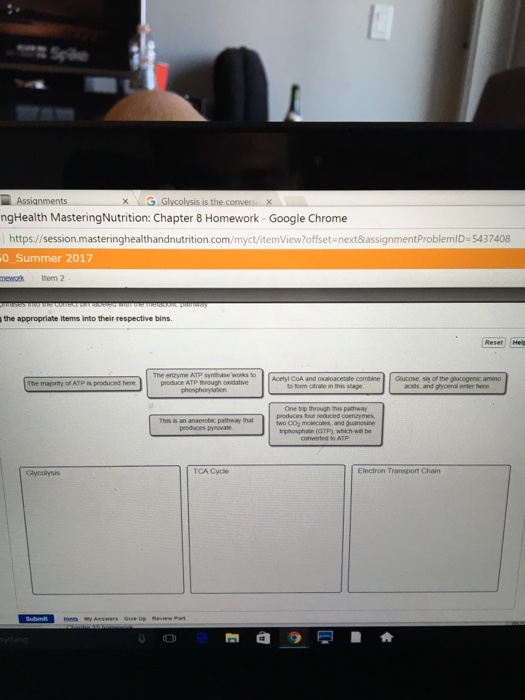 Question: Assignments ngHealth MasteringNutrition: Chapter 8Homework Google Chrome https://session masterin...