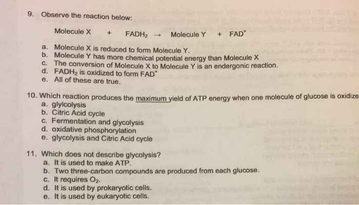Question: 9. Observe the reaction below: Molecule X + FADH2→ Molecule Y + FAD a. Molecule X is reduced to...
