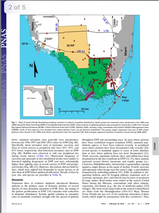 Question: Severe mammal declines coincide with proliferation of invasive Burmese pythons in Everglades Nati...