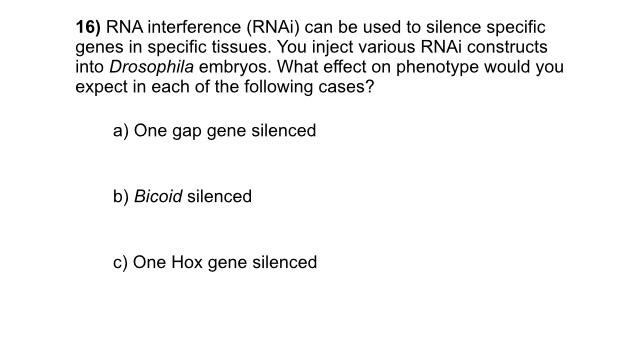 Question: RNA interference (RNAi) can be used to silence specific genes in specific tissues. You inject var...