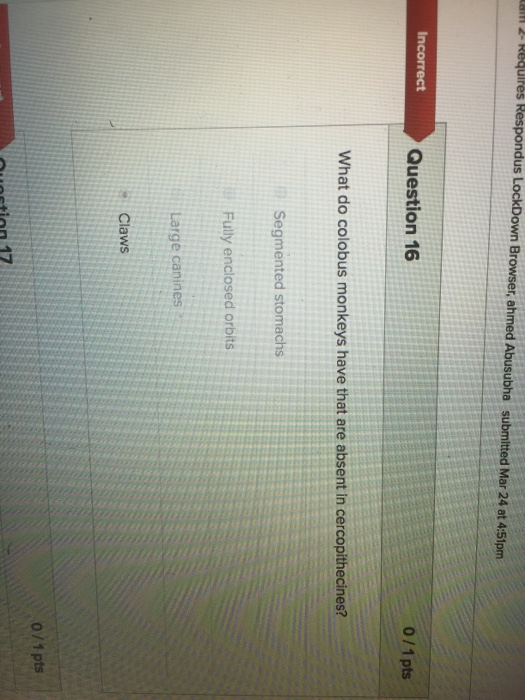 Archimedes and pi picture