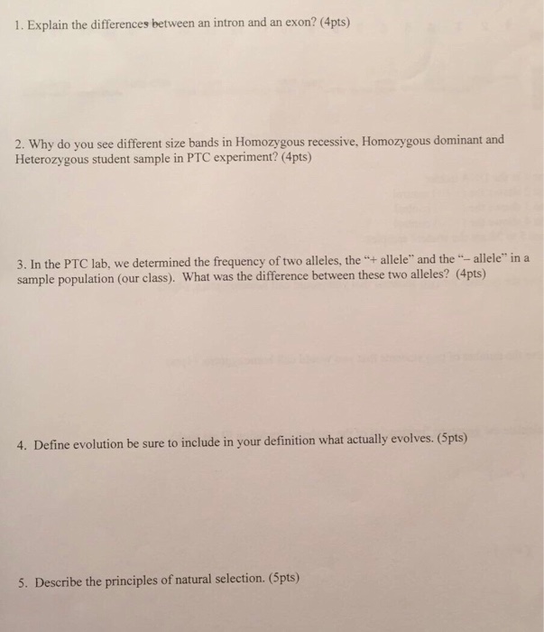 Question: 1. Explain the differences between an intron and an exon? (4pts) 2. Why do you see different size...