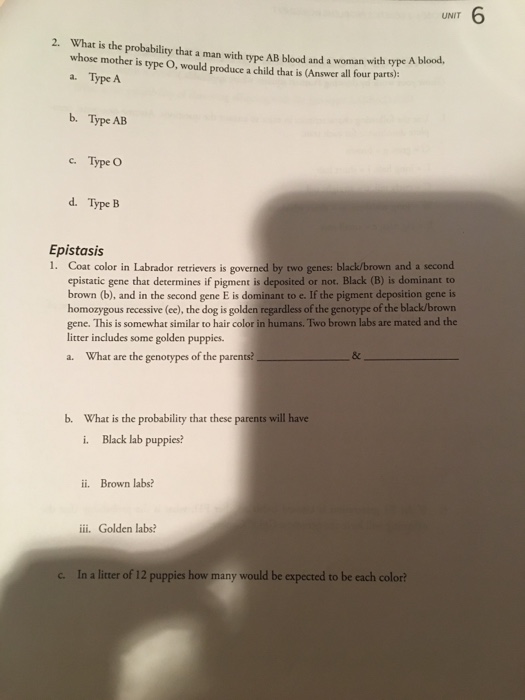 Zuni man woman book review essay 08 picture