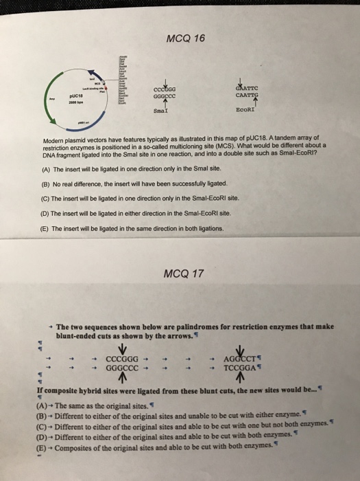 Question: MCQ 16 TTC PUCs Snal EcoRI Modern plasmid vectors have features typically as illustrated in this ...
