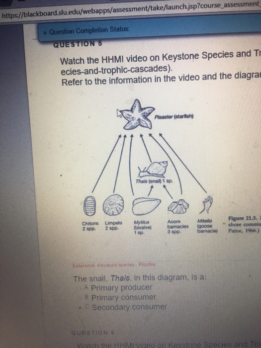 Question: QUESTION 1 1 points Save A community ecologist would most likely study A. interactions among indi...