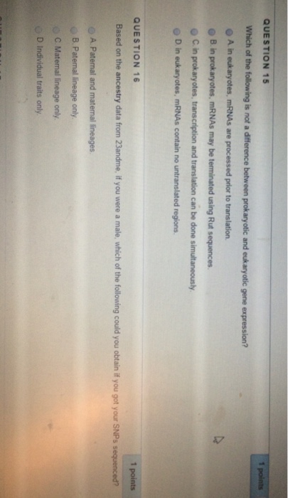 Question: Which of the following is not a difference between prokaryotic and eukaryotic gene expression?  A...