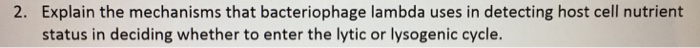 Question: Explain the mechanisms that bacteriophage lambda uses in detecting host cell nutrient status in d...
