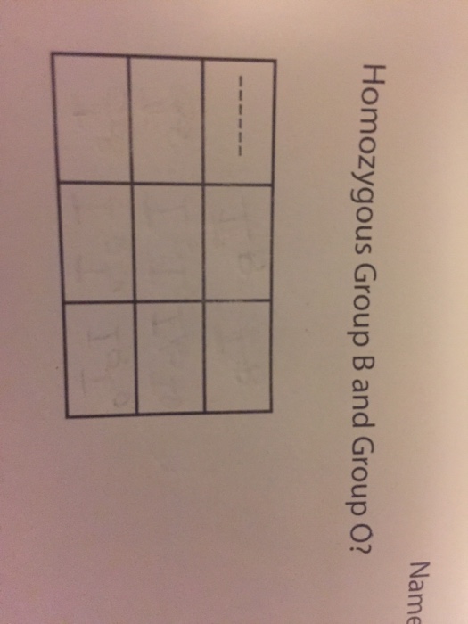 Question: Name Homozygous Group B and Group O?