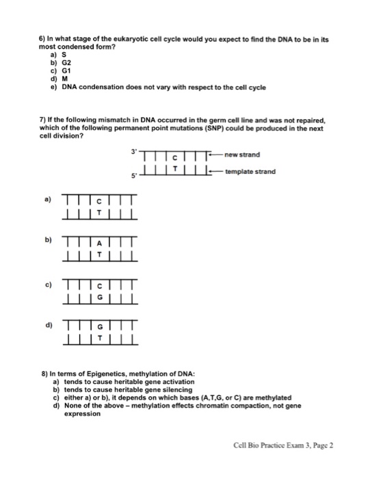 Question: Name: PRACTICE EXAM 3-Cell Biology Spring 2017 MULTIPLE CHOICE (15 questions). Choose the one alt...