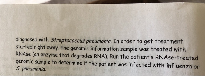 Question: LAB #13 USING DNA TO IDENTIFY MICROORGANISMS final Microbiology lab you must determine what infec...